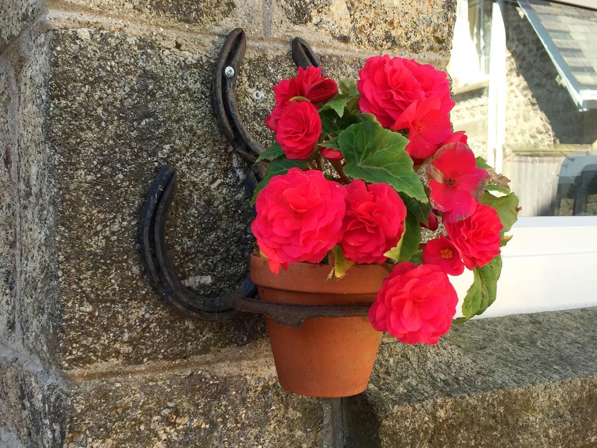 Dartfordleigh B&B Postbridge Dış mekan fotoğraf