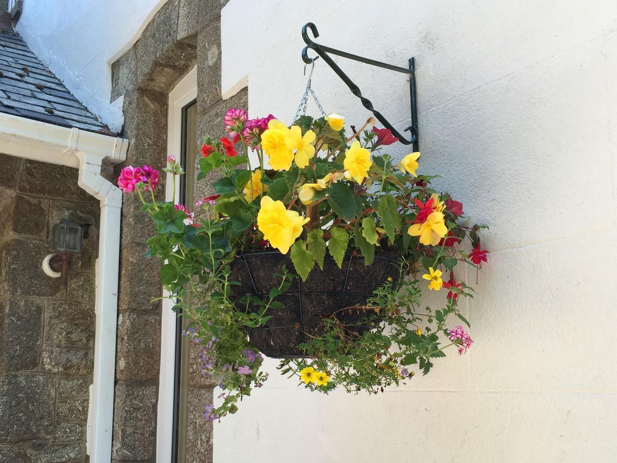 Dartfordleigh B&B Postbridge Dış mekan fotoğraf
