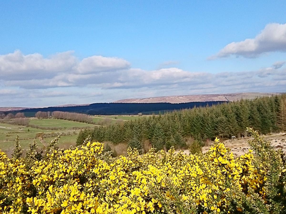 Dartfordleigh B&B Postbridge Dış mekan fotoğraf